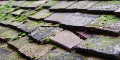 Tickenham roof repair costs